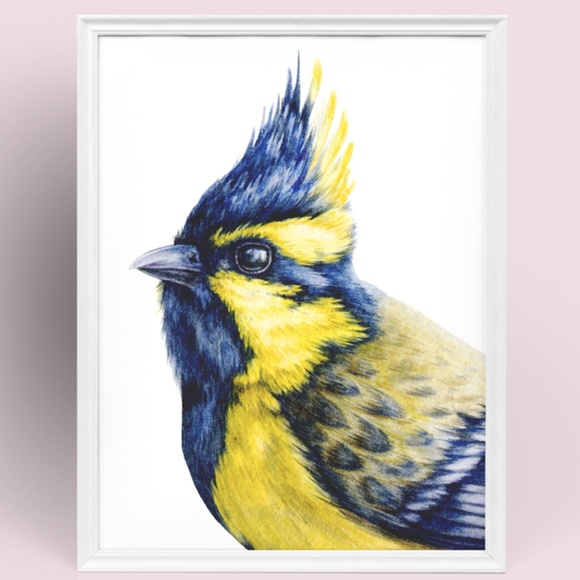 Watercolor Wall Art Himalayan Tit Bird Print Poster Unframed - Picture 9 of 9